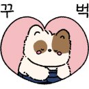 면을품은홍게 이미지