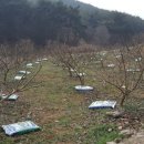 변산산돌농원 네이버블로그