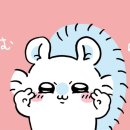 모몽가 이미지