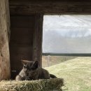 희주목장 이미지