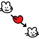 샌드위치컴퍼니 네이버블로그