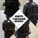 배낭여행 | 여행용백팩 [TEGAMA 초경량백팩 TM249] 해외여행배낭 후기