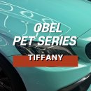 TIFFANY | 수원랩핑 벤츠 랩핑 OBEL TIFFANY 티파니 전체랩핑 후기