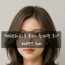 인덕원역 1번출구 1-1 | 방배역 1번 출구 1분! 애쉬브라운 염색 후기