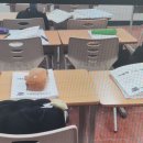 2026학년도 고려대세종 약술형 논술 합격 전략 이미지