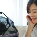 가방위에 고양이 이미지