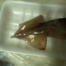 롯데마트 연수점에서 인터넷으로 주문해서 산 10500짜리 테스트용 로션 ㅋㅋㅋㅠㅠ 이미지