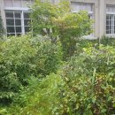 동강중학교 이미지