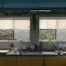 동양여관 | 제주공항근처 숙소 동양여관1938 - 동문시장 1인실 조용한 게스트하우스 추천