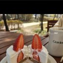 그라비에 이미지
