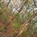 지유엔모터스 이미지