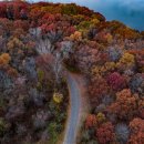 자연과함께(주) 이미지
