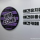 단비애견 미용실 | [댕댕존 애견유치원] 인천애견카페