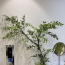 작은나무치과의원 이미지