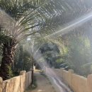 하일농장 이미지