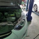 장일카센타 이미지