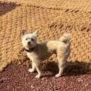 수월산방 이미지