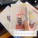 천안불당하나동물약국 | 천안셀프스튜디오 부록 셀프사진관 셀프스튜디오 천안불당점