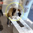 주머니에 '쏙'…한국까지 놀러 와서 은팔찌 훔친 일본인 이미지
