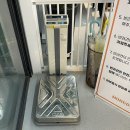 멍세권 | (내돈내산)애견카페 멍디브:본촌동 카페 광주 애견카페 실내가능 잔디있는 카페(+주차장)