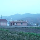 용은산 티스토리