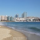호텔엘레시아 | 해운대 전망좋은 엘리시아 부티크 호텔 부산 여행 숙소