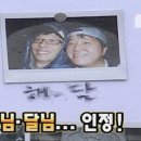 햇님 달님 이미지