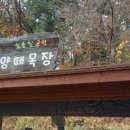 수인목장 이미지