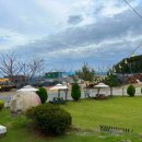 평생 사랑해 줄 개 애견펜션 이미지