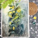 펜드로잉&어반스케치 중급 이미지