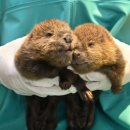 (주)아쿠아링크 이미지