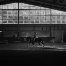 하노버승마장 이미지