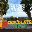 인형의 거리(원숭이 | 나홀로 해외여행 ep.5 필리핀 보홀 안경원숭이 보호구역 초콜렛힐 데이투어