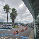 ㈜제주보고타렌트카 | 운전면허증 실물 필요x 제주 보고타렌트카 모닝 내돈내산 3박 4일 후기