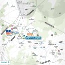 더포레스트 이미지