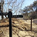 추원모차골 이미지