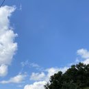 다정다감 | 광명 안양 수원 심리상담센터 (성인상담 받고 온 후기!)