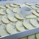 호텔당근 이미지