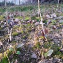 새벽농장 이미지