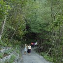 동막골주차장 이미지