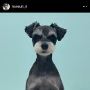 살롱 드 위드멍 이미지