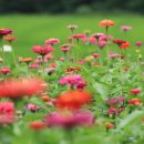 돈유1로 이미지