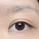스테이브로우 | [ 브로우카라 추천 ] : 명품저렴이 더블유랩 롱스테이브로우카라 뭉침없이 좋아