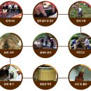 우명동 참기름마을 이미지