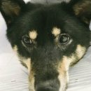 송정동물메디컬센터 이미지