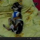 루다네 까까 이미지