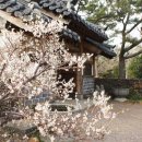 서구-02-50 이미지