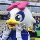 파스쿠찌삼성dsr