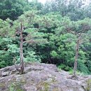 요천다슬기마을 이미지