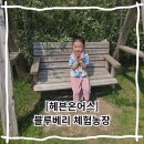 헤븐하우스 | 용인동물농장 헤븐온어스 블루베리체험농장 6세아이 나들이 후기